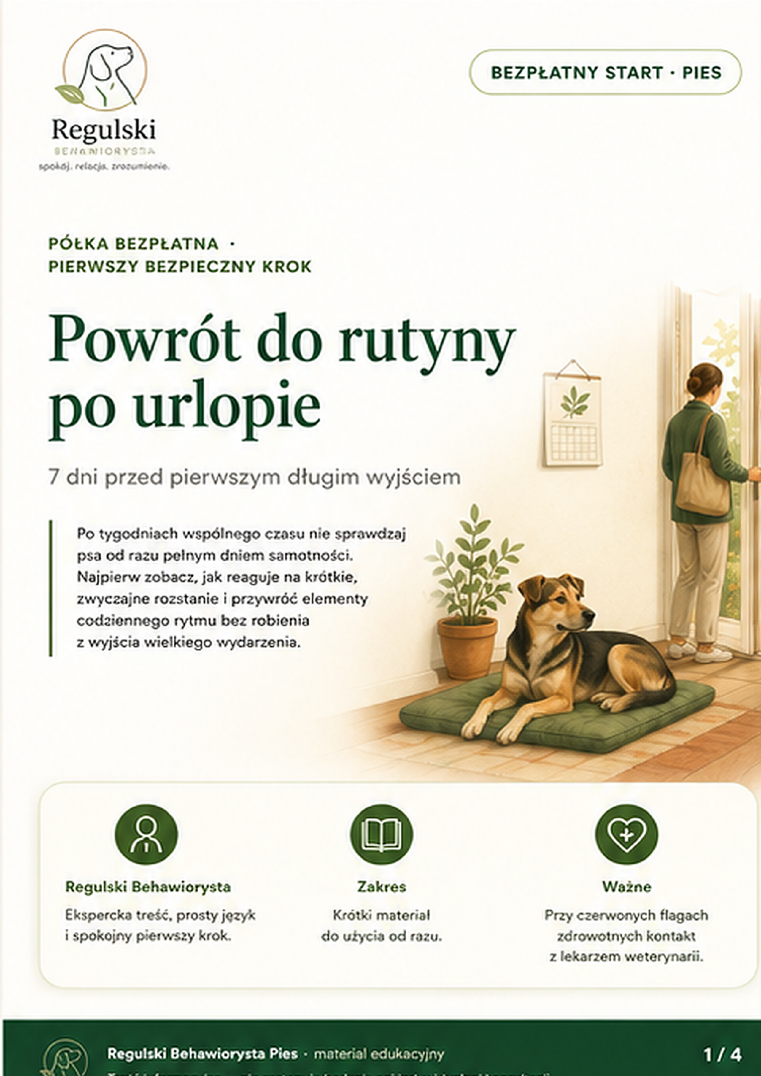 Okładka PDF: Powrót do rutyny po urlopie