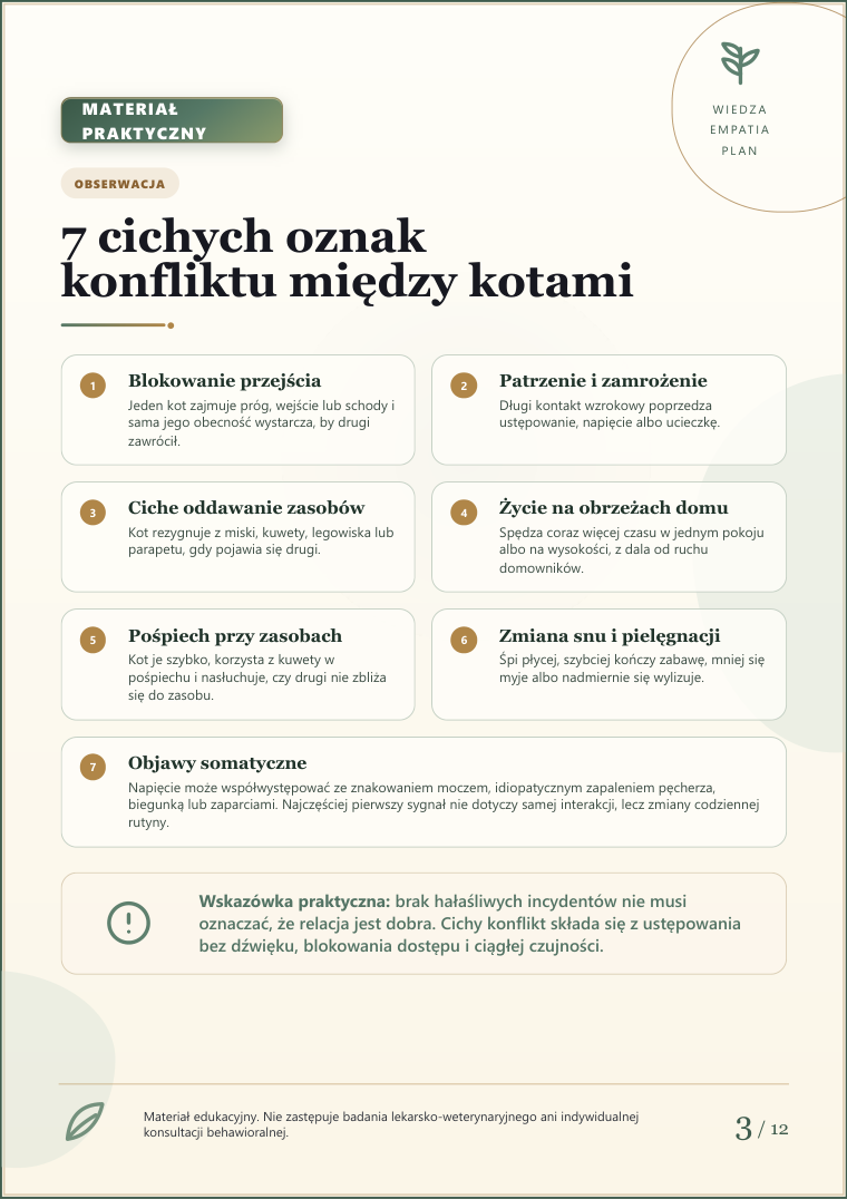 Podgląd strony 3: Konflikt między kotami