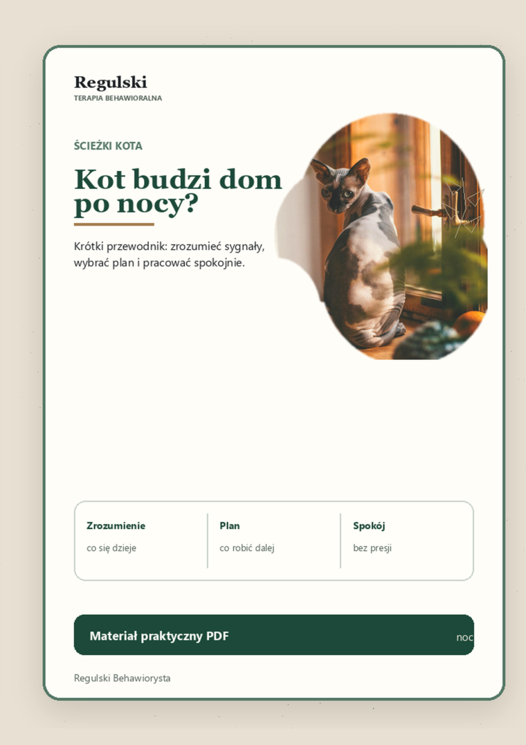 Podgląd strony 1: Kot budzi dom po nocy