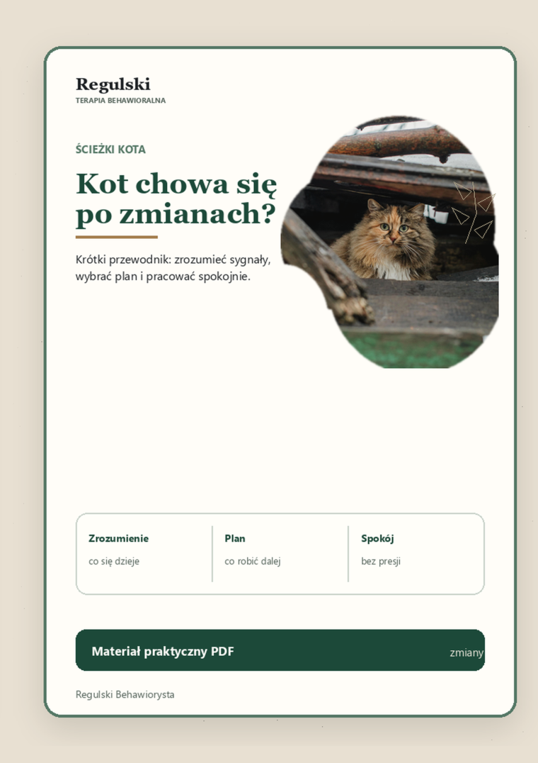 Podgląd strony 1: Kot chowa się po zmianach
