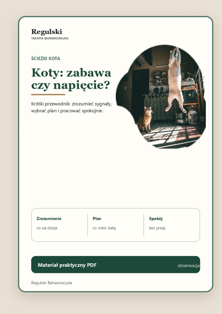 Podgląd strony 1: Koty: zabawa czy napięcie?