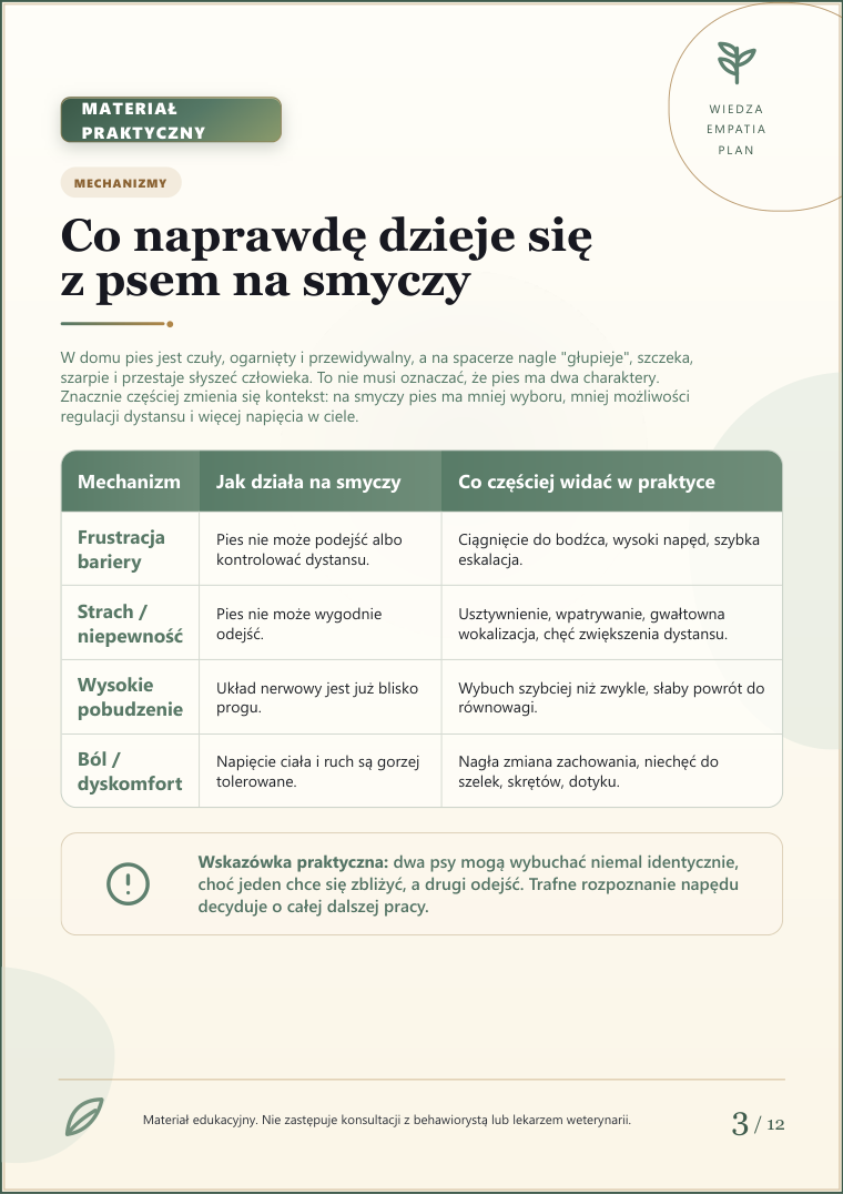 Podgląd strony 3: Pies głupieje na smyczy