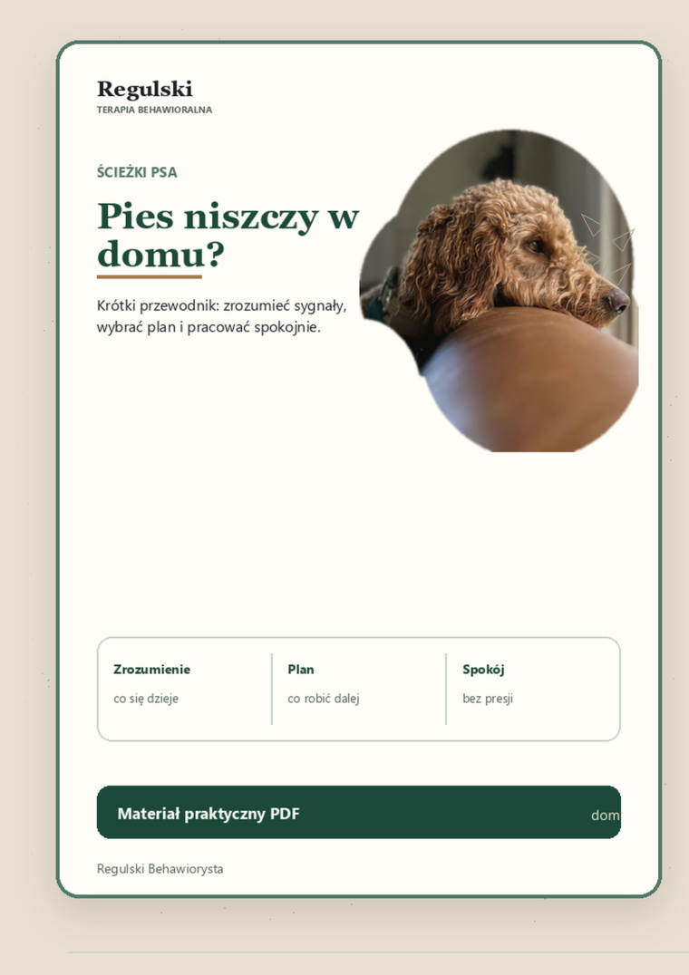 Podgląd strony 1: Pies niszczy w domu