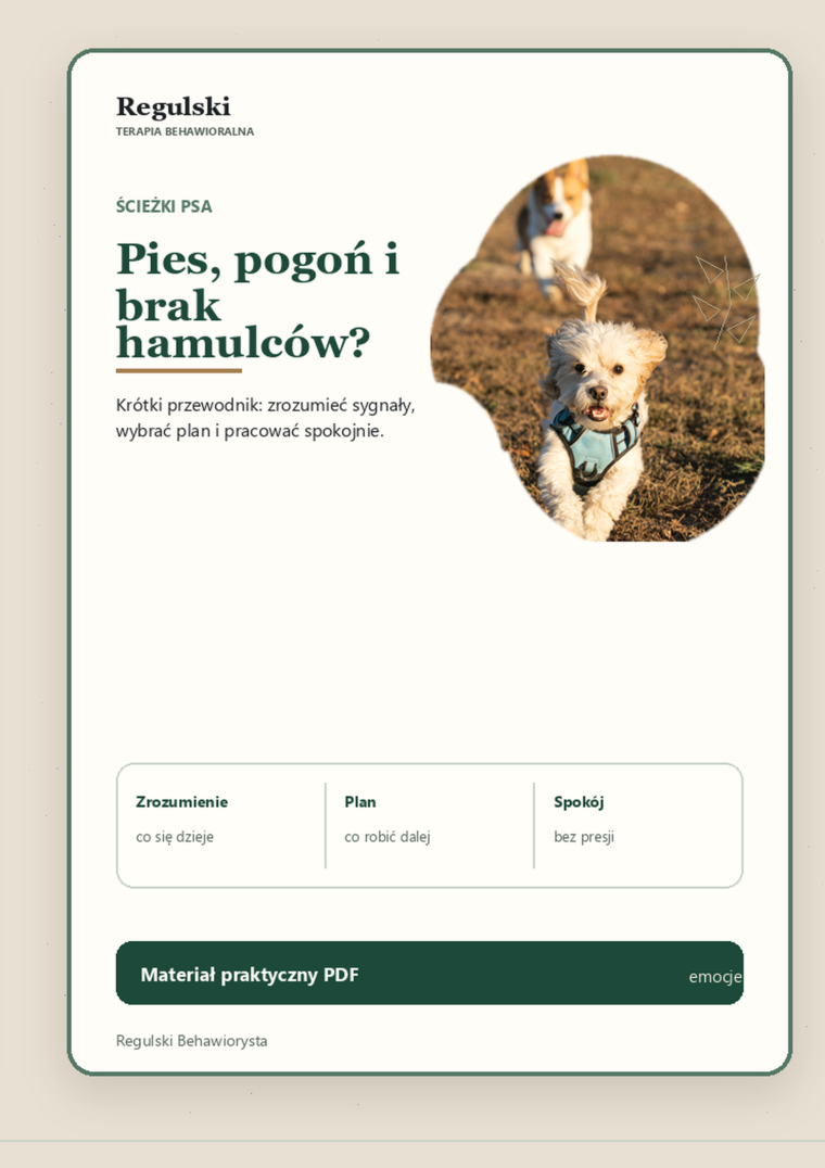 Podgląd strony 1: Pies: pogoń i brak hamulców