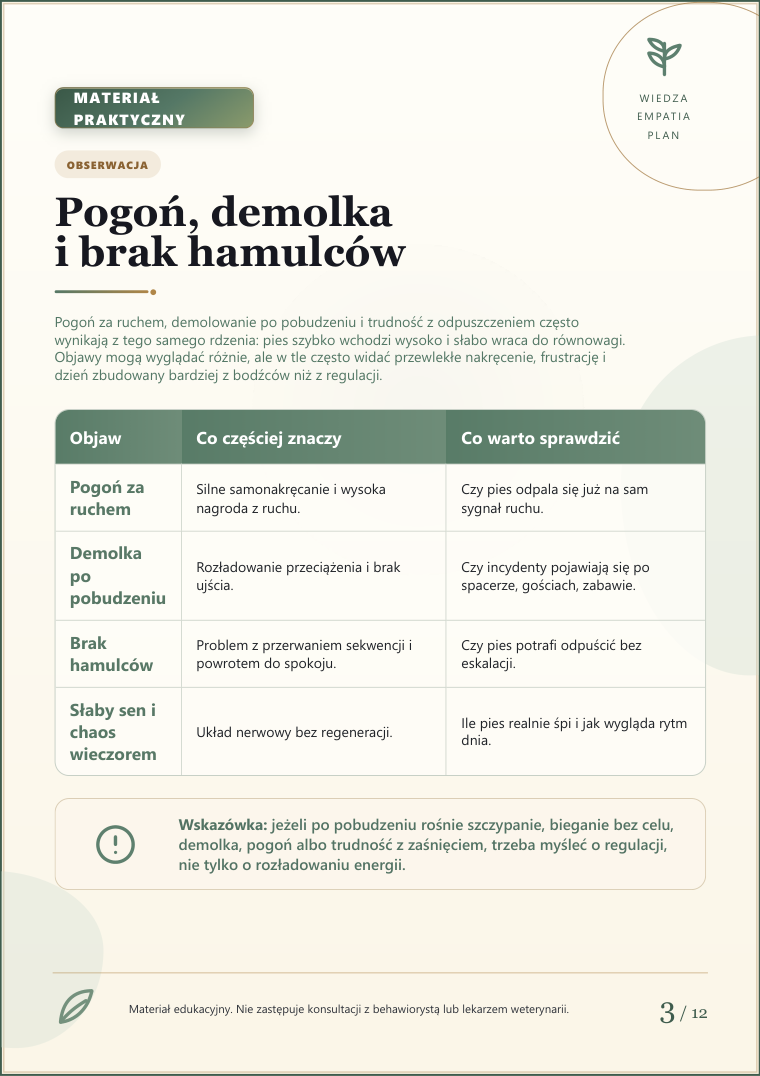 Podgląd strony 3: Pies: pogoń i brak hamulców