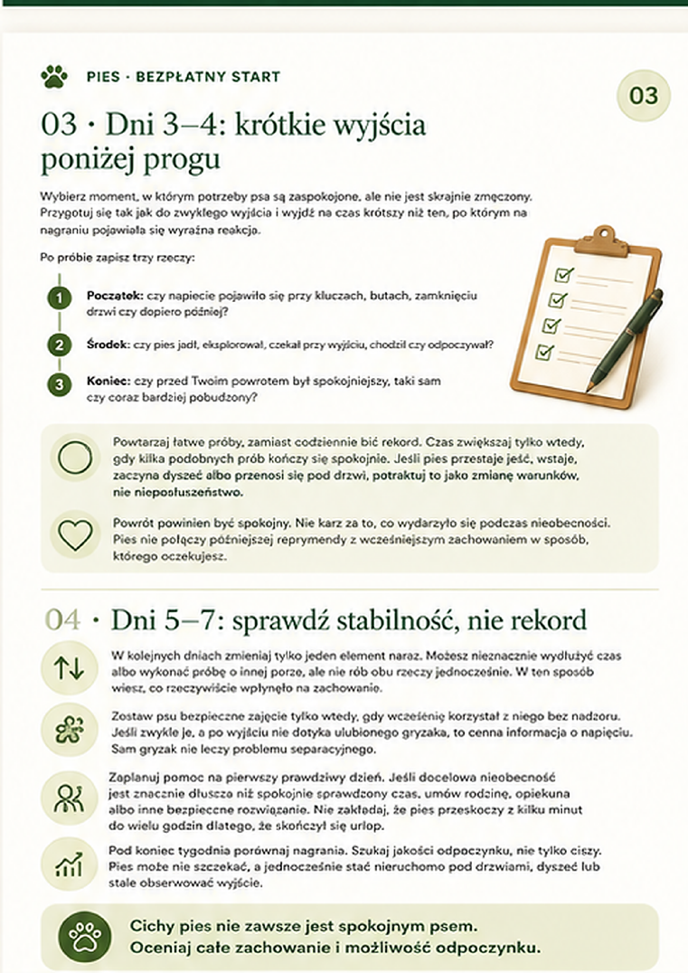 Podgląd strony 3: Powrót do rutyny po urlopie