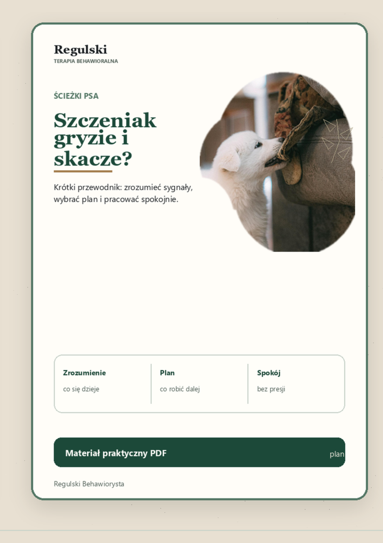 Podgląd strony 1: Szczeniak gryzie i skacze