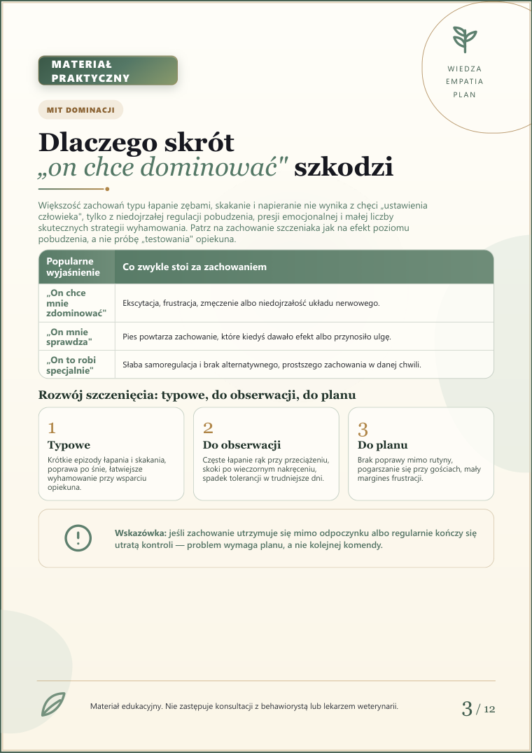 Podgląd strony 3: Szczeniak gryzie i skacze