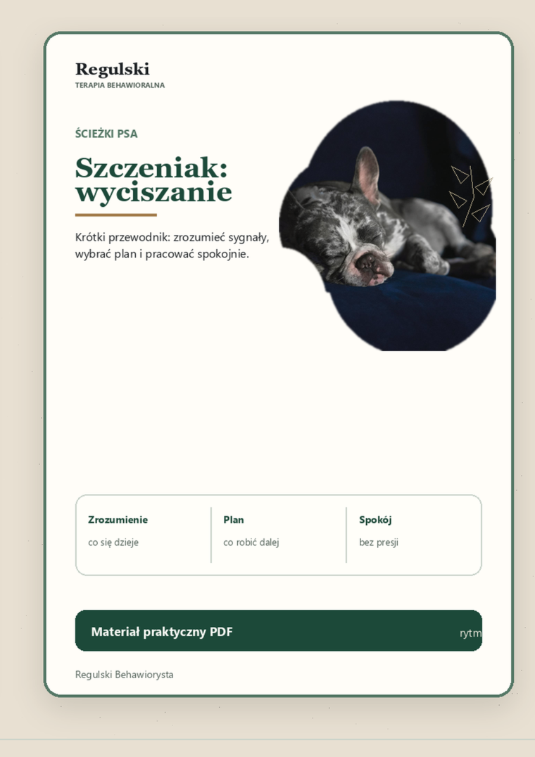 Podgląd strony 1: Szczeniak: wyciszanie