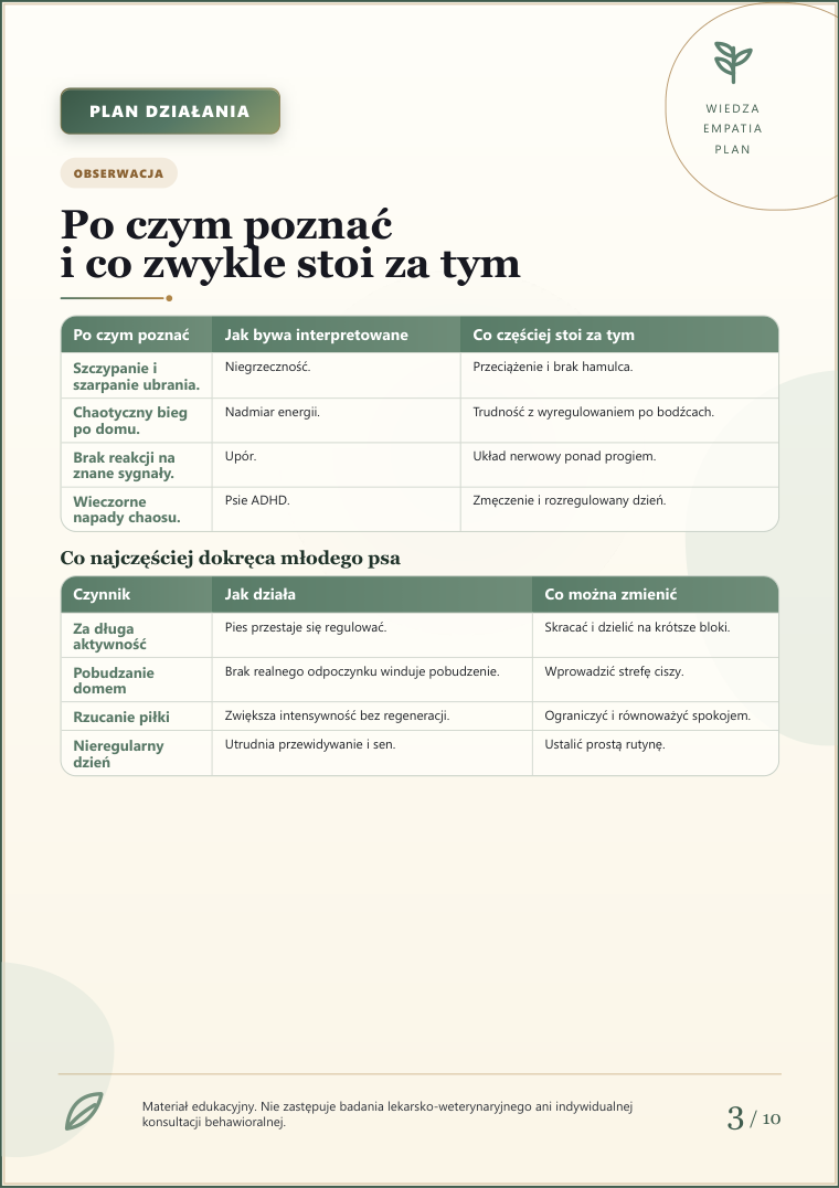 Podgląd strony 3: Szczeniak: wyciszanie